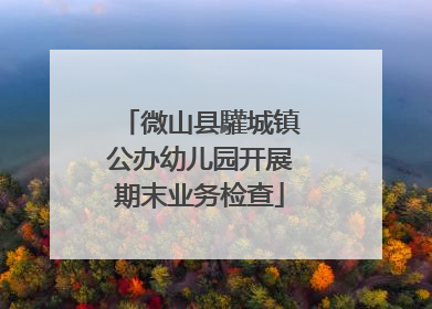 微山县驩城镇公办幼儿园开展期末业务检查