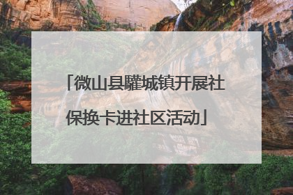 微山县驩城镇开展社保换卡进社区活动