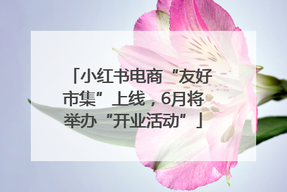 小红书电商“友好市集”上线，6月将举办“开业活动”