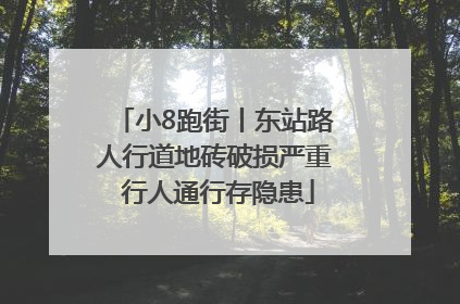 小8跑街丨东站路人行道地砖破损严重 行人通行存隐患