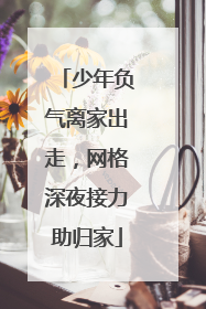 少年负气离家出走，网格深夜接力助归家