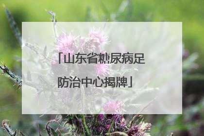 山东省糖尿病足防治中心揭牌
