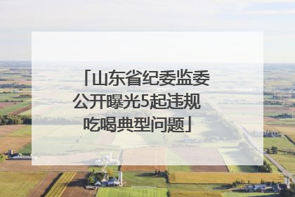 山东省纪委监委公开曝光5起违规吃喝典型问题