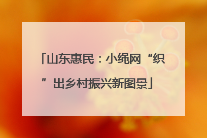 山东惠民：小绳网“织”出乡村振兴新图景