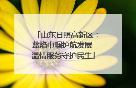 山东日照高新区：蓝焰巾帼护航发展 温情服务守护民生