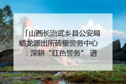 山西长治武乡县公安局蟠龙派出所砖壁警务中心：深耕“红色警务” 谱写“平安答卷”