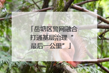 岳塘区警网融合 打通基层治理“最后一公里”