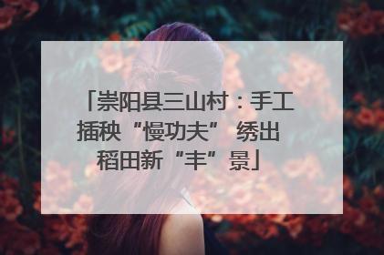崇阳县三山村：手工插秧“慢功夫” 绣出稻田新“丰”景