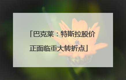 巴克莱：特斯拉股价正面临重大转折点