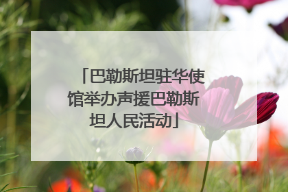 巴勒斯坦驻华使馆举办声援巴勒斯坦人民活动