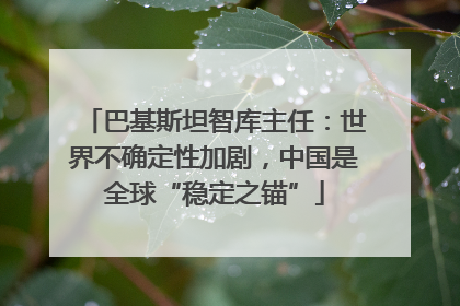 巴基斯坦智库主任：世界不确定性加剧，中国是全球“稳定之锚”