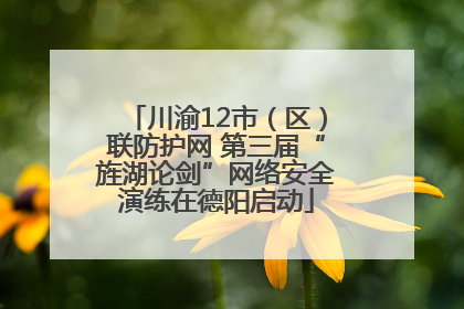 川渝12市（区）联防护网 第三届“旌湖论剑”网络安全演练在德阳启动