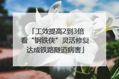 工效提高2到3倍 看“钢铁侠”灵活修复达成铁路隧道病害