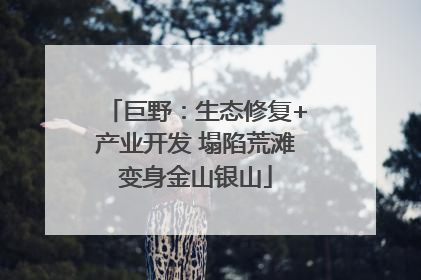 巨野：生态修复+产业开发 塌陷荒滩变身金山银山