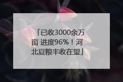 已收3000余万亩 进度96%！河北夏粮丰收在望