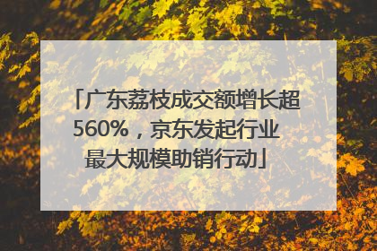 广东荔枝成交额增长超560%，京东发起行业最大规模助销行动