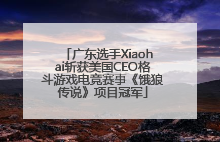 广东选手Xiaohai斩获美国CEO格斗游戏电竞赛事《饿狼传说》项目冠军