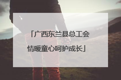 广西东兰县总工会情暖童心呵护成长