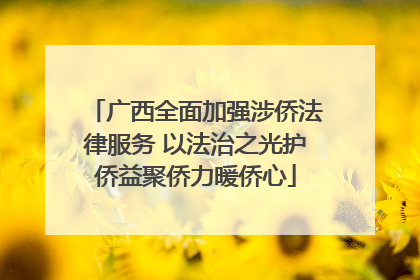广西全面加强涉侨法律服务 以法治之光护侨益聚侨力暖侨心