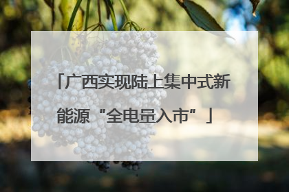 广西实现陆上集中式新能源“全电量入市”