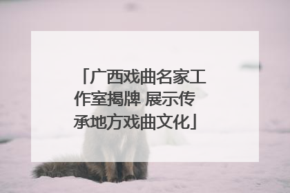 广西戏曲名家工作室揭牌 展示传承地方戏曲文化