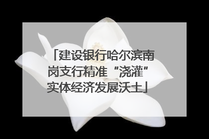 建设银行哈尔滨南岗支行精准“浇灌”实体经济发展沃土