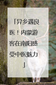 异乡遇良医！内蒙游客在南阳感受中医魅力