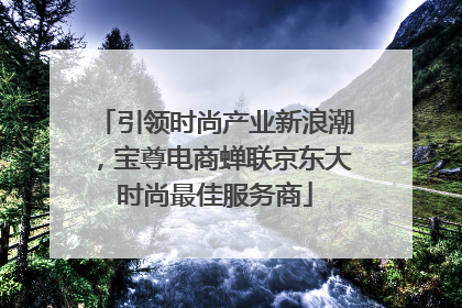 引领时尚产业新浪潮，宝尊电商蝉联京东大时尚最佳服务商