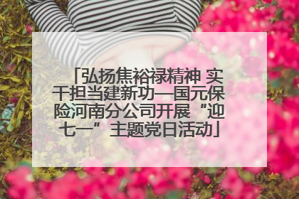 弘扬焦裕禄精神 实干担当建新功—国元保险河南分公司开展“迎七一”主题党日活动