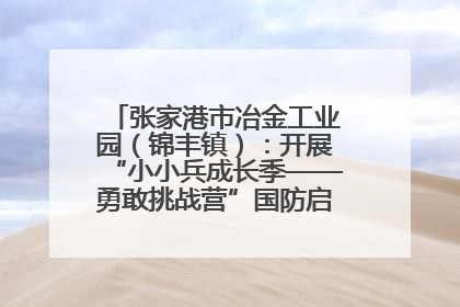 张家港市冶金工业园（锦丰镇）：开展“小小兵成长季——勇敢挑战营”国防启蒙教育活动