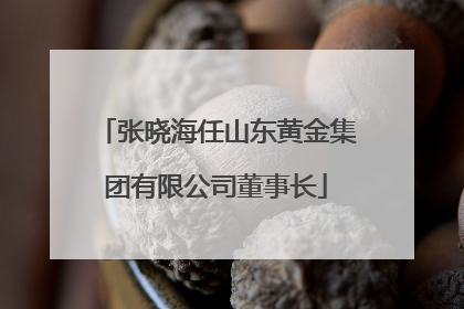 张晓海任山东黄金集团有限公司董事长