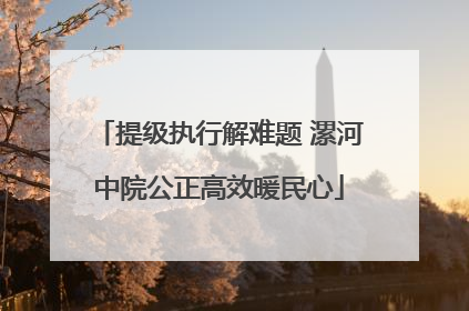 提级执行解难题 漯河中院公正高效暖民心