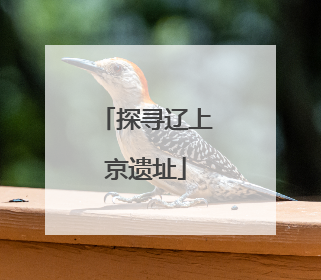 探寻辽上京遗址