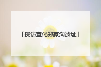 探访宣化郑家沟遗址