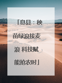 息县：秧苗绿浪接麦浪 科技赋能抢农时