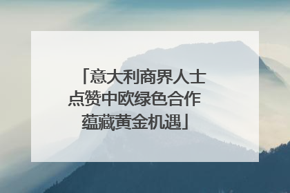 意大利商界人士点赞中欧绿色合作蕴藏黄金机遇