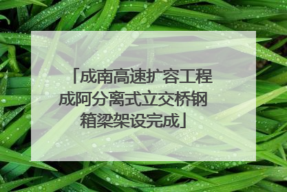 成南高速扩容工程成阿分离式立交桥钢箱梁架设完成