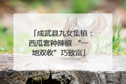 成武县九女集镇：西瓜套种辣椒 “一地双收”巧致富