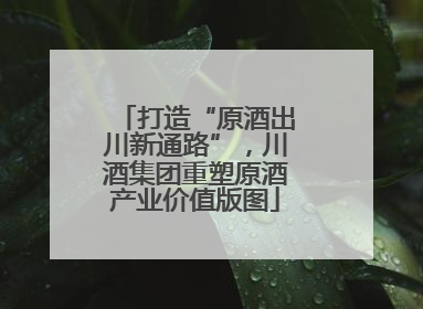 打造“原酒出川新通路”，川酒集团重塑原酒产业价值版图