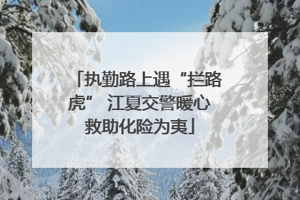 执勤路上遇“拦路虎” 江夏交警暖心救助化险为夷