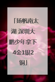 扬帆南太湖 深圳大鹏少年拿下4金1银2铜