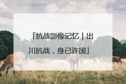抗战影像记忆｜出川抗战，身已许国