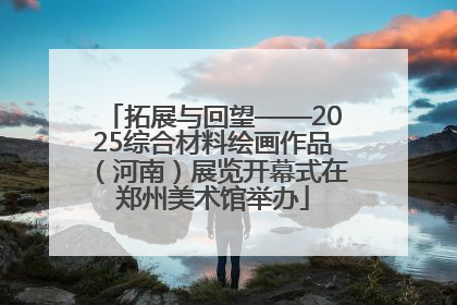 拓展与回望——2025综合材料绘画作品（河南）展览开幕式在郑州美术馆举办