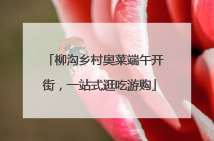 柳沟乡村奥莱端午开街，一站式逛吃游购