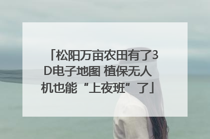 松阳万亩农田有了3D电子地图 植保无人机也能“上夜班”了