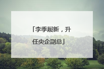 李季履新，升任央企副总