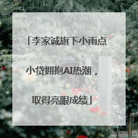李家诚旗下小雨点小贷拥抱AI热潮，取得亮眼成绩