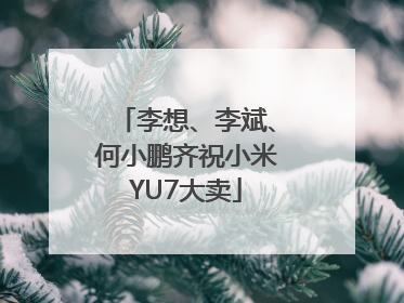 李想、李斌、何小鹏齐祝小米YU7大卖