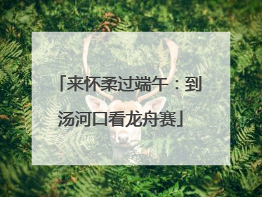 来怀柔过端午：到汤河口看龙舟赛