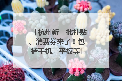杭州新一批补贴、消费券来了！包括手机、平板等